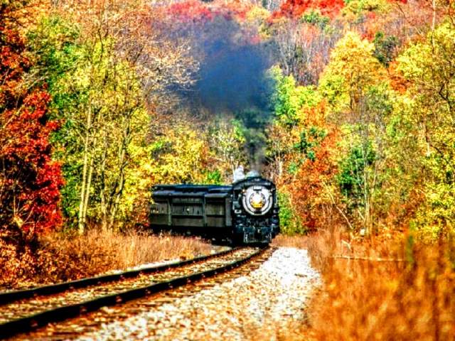 Train ride through fall foliage