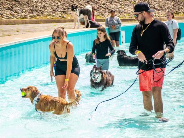 Bark in the Waterpark at Montage Mountain Resorts in Scranton, PA