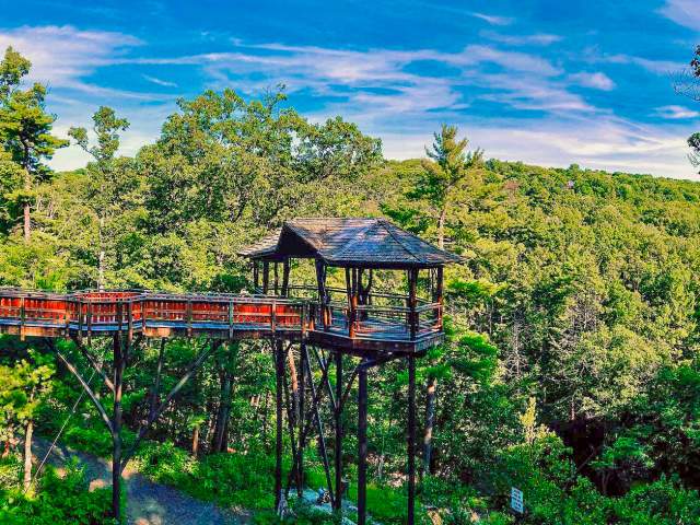 chase_does_art Instagram Nay Aug Park