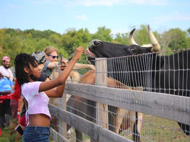 Indraloka Animal Sanctuary in Dalton, PA