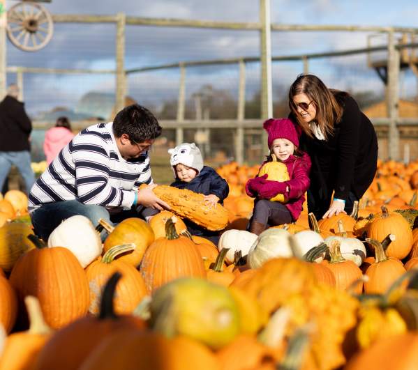 10 Must-Do Fall Activities & Events in Lackawanna County
