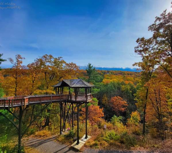 Fall Foliage at Nay Aug Park's Treehouse