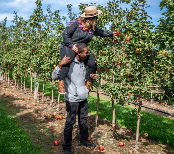 A couple picking apples at Lakeland Orchard & Cidery