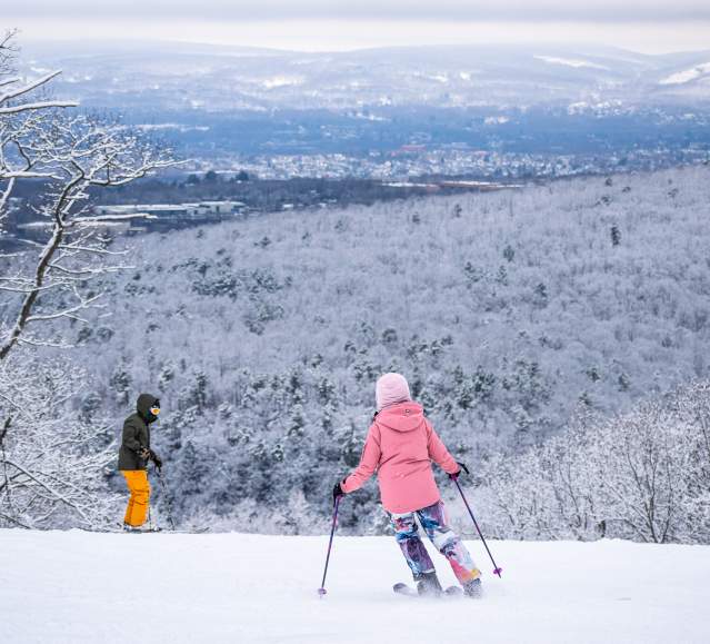 Montage Mountain Winter