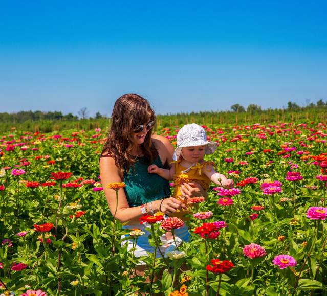 Lakeland_Orchard_Zinnia_Smith_05_LCVB