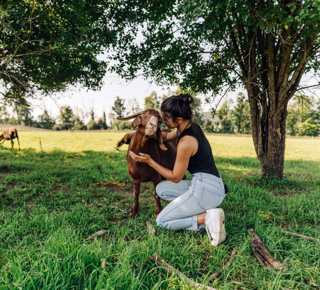 Indraloka Animal Sanctuary in Dalton, PA