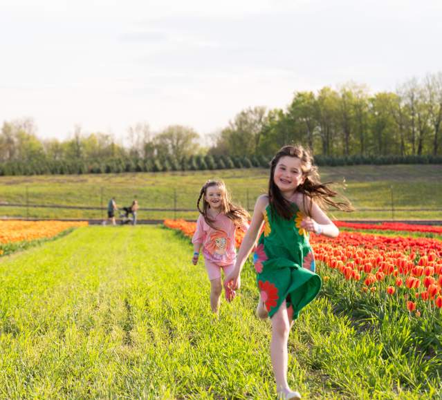 Childrem running through a field at Lakeland Orchard & Cidery in Scott Township, PA