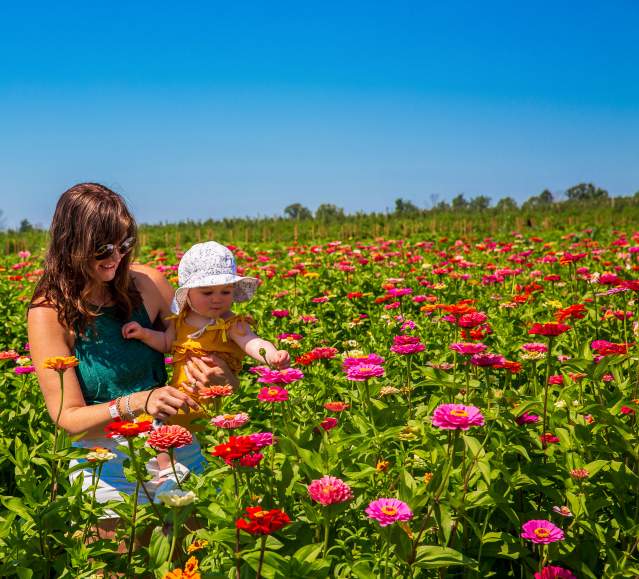 Lakeland_Orchard_Zinnia_Smith_05_LCVB