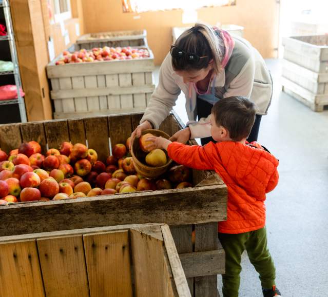 Mom & Child selecting apples at Ritter's Cider Mill