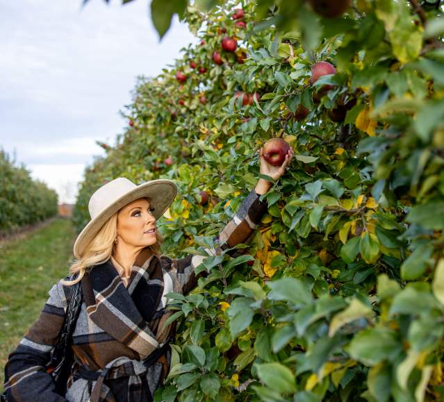 Apple picking at Lakeland Orchard & Cidery in Scott Township, PA