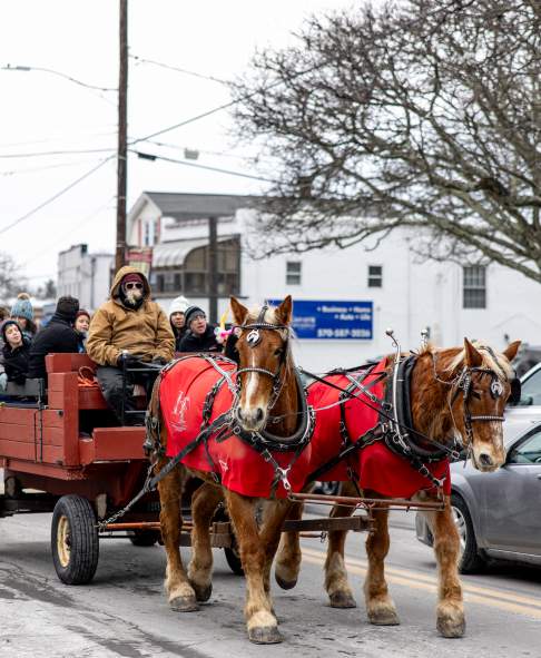 A horse-drawn carriage ride through Clarks Summit, PA, at the Clarks Summit Festival of Ice