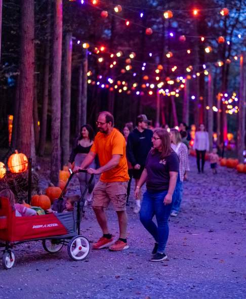The Glowing Pumpkin Trail at Roba Family Farms in North Abington Township, PA
