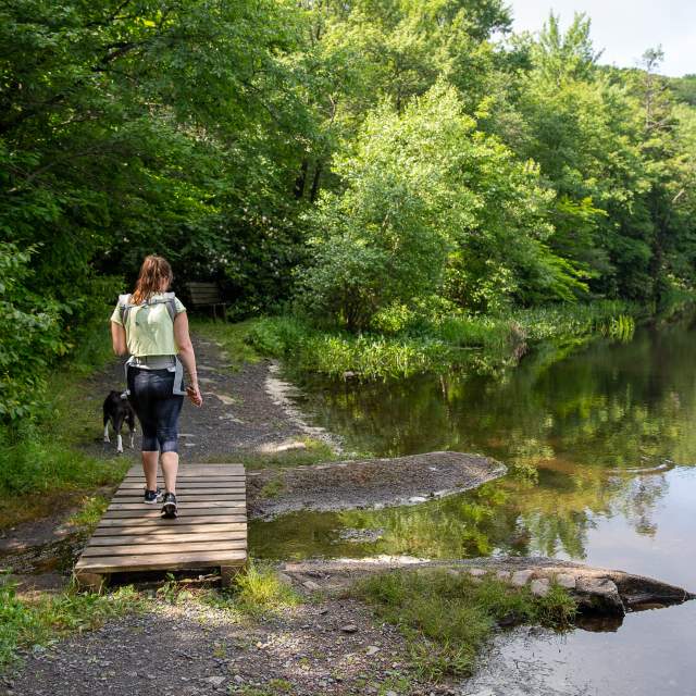 A woman walking her dog at Merli-Sarnoski Park in Mayfield, PA