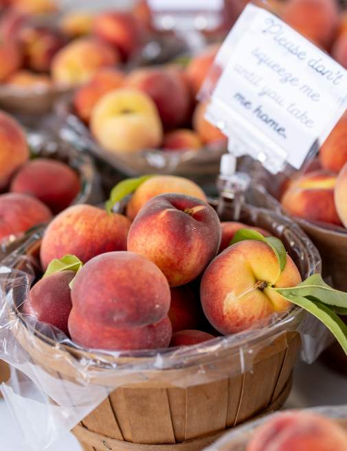 Co-Op Farmers Market in Scranton, PA