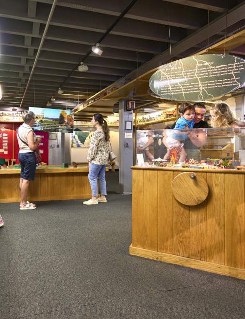 Visitors viewing exhibits at the Electric City Trolley Station & Museum in Scranton, PA