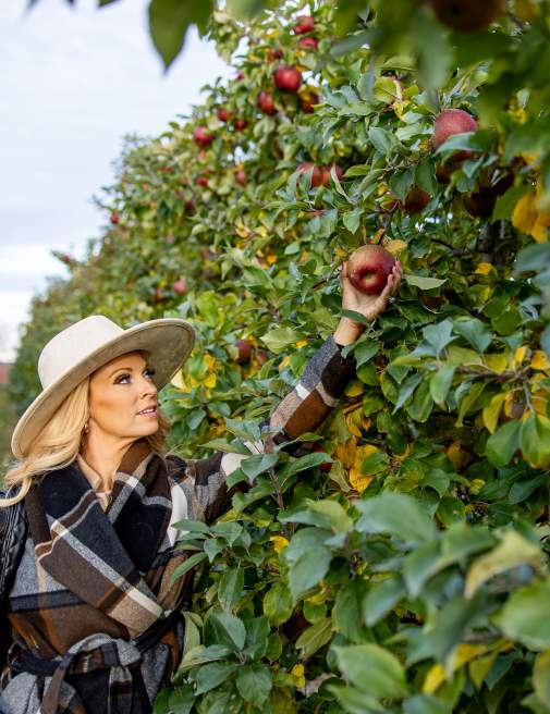 Apple picking at Lakeland Orchard & Cidery in Scott Township, PA