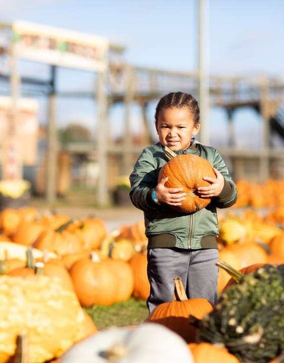 Roba Family Farms