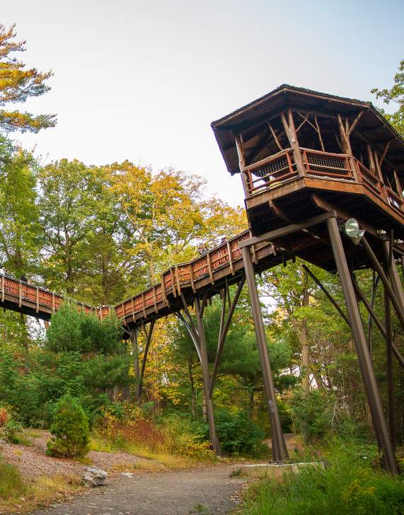 Nay Aug Park in Scranton, PA