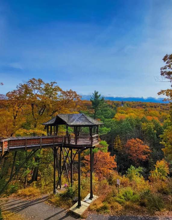 Fall Foliage at Nay Aug Park's Treehouse