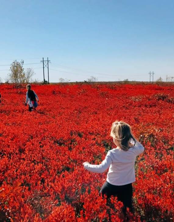 thriveacademypa Instagram Eales Preserve Moosic Mountain 05