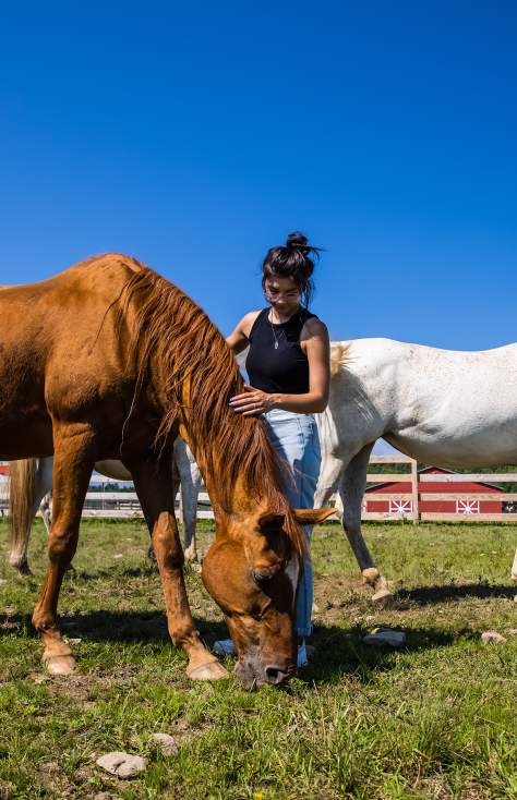 Indraloka Animal Sanctuary