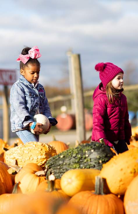 Roba Family Farms