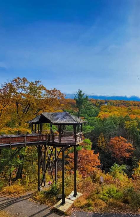 Fall Foliage at Nay Aug Park's Treehouse