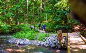 Lackawanna State Park Hiking