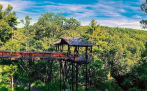 Nay Aug Park Treehouse