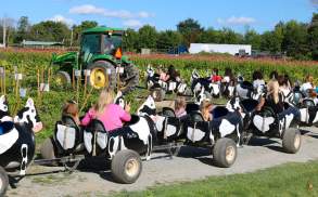 Lakeland Orchard & Cidery