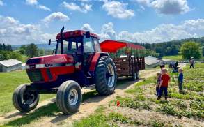 Tractor and kids at Pallman Farms' strawberry field in Clarks Summit, PA
