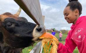 Indraloka Animal Sanctuary