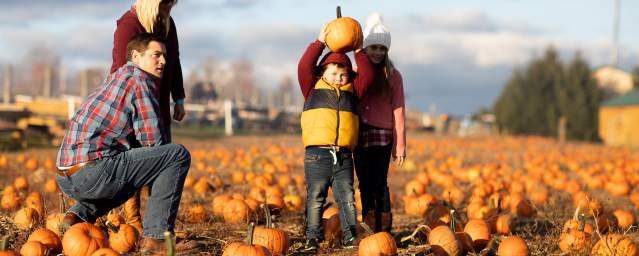 Family picking a pumpkin at Roba Family Farms in North Abington Township, PA