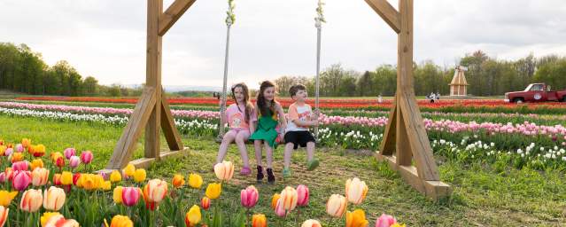 Lakeland Orchard & Cidery in Scott Township, PA