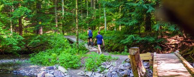 Lackawanna State Park Hiking