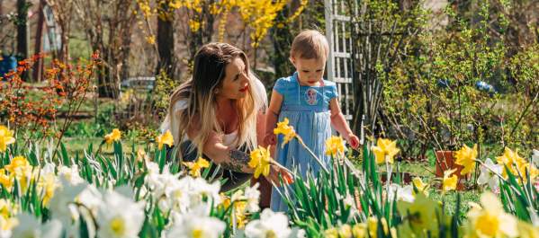 Spring Family Fun Guide