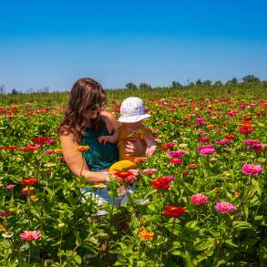Lakeland Orchard & Cidery in Scott Township, PA
