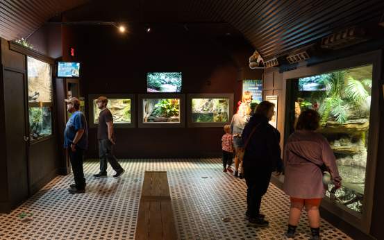 A group of visitors viewing the exhibits at the Electric City Aquarium in Downtown Scranton, PA