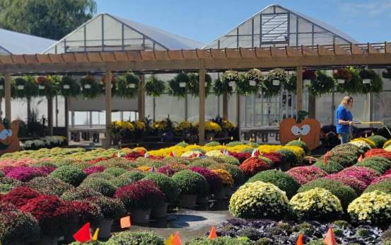 Corky's Garden Path in Scott Township, PA