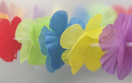 A stock photo of Hawaiian lei party flowers