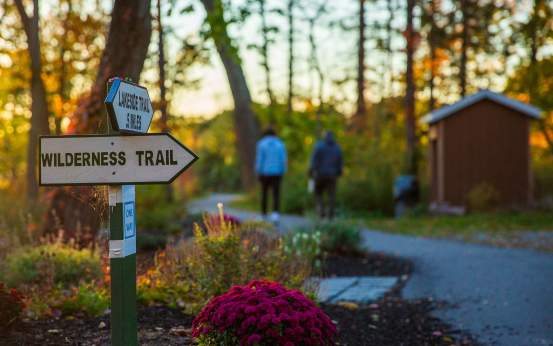 Hillside Park Autumn