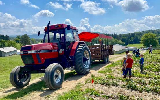 Tractor and kids at Pallman Farms' strawberry field in Clarks Summit, PA