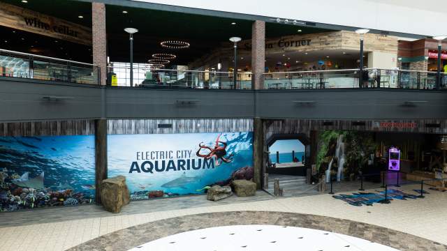Wide shot of the entrance to the Electric City Aquarium & Reptile Den in downtown Scranton, PA