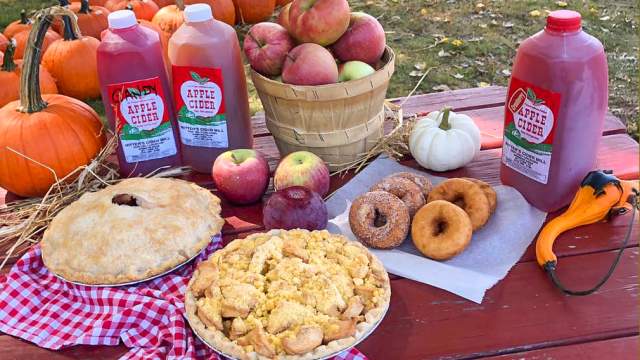 Doughnuts, pies, and apple cider at Ritter's Cider Mill in Mount Cobb, PA