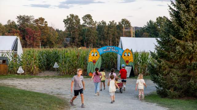 People entering the Mega Corn Maze at Roba Family Farms
