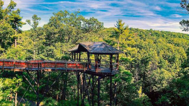 Nay Aug Park Treehouse