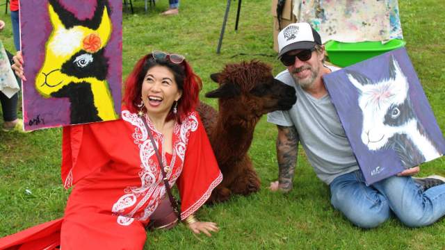 Painting with Alpacas at Alpacas of Windy Haven Farm