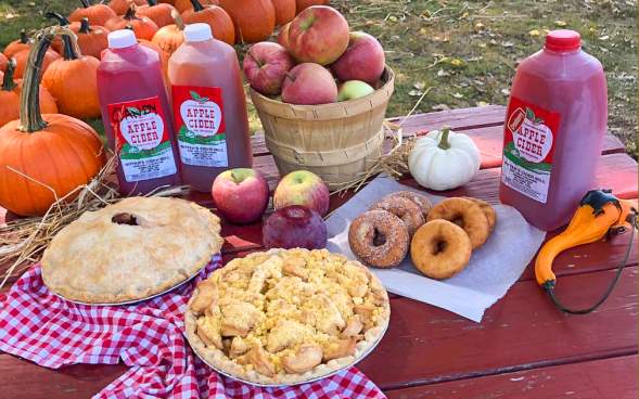 Doughnuts, pies, and apple cider at Ritter's Cider Mill in Mount Cobb, PA