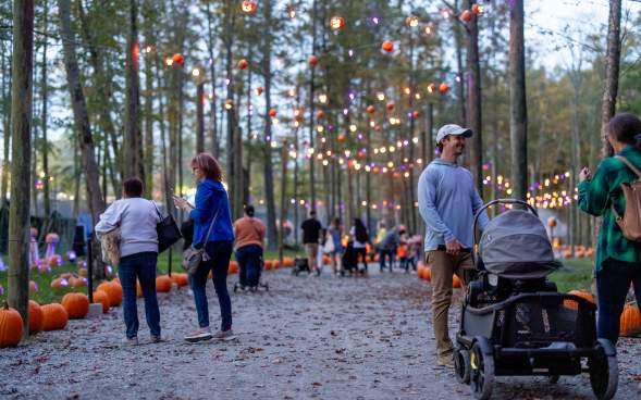 Roba Family Farms in North Abington Township, PA