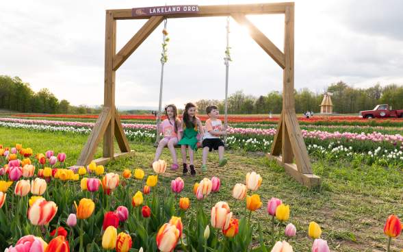 Lakeland Orchard & Cidery in Scott Township, PA